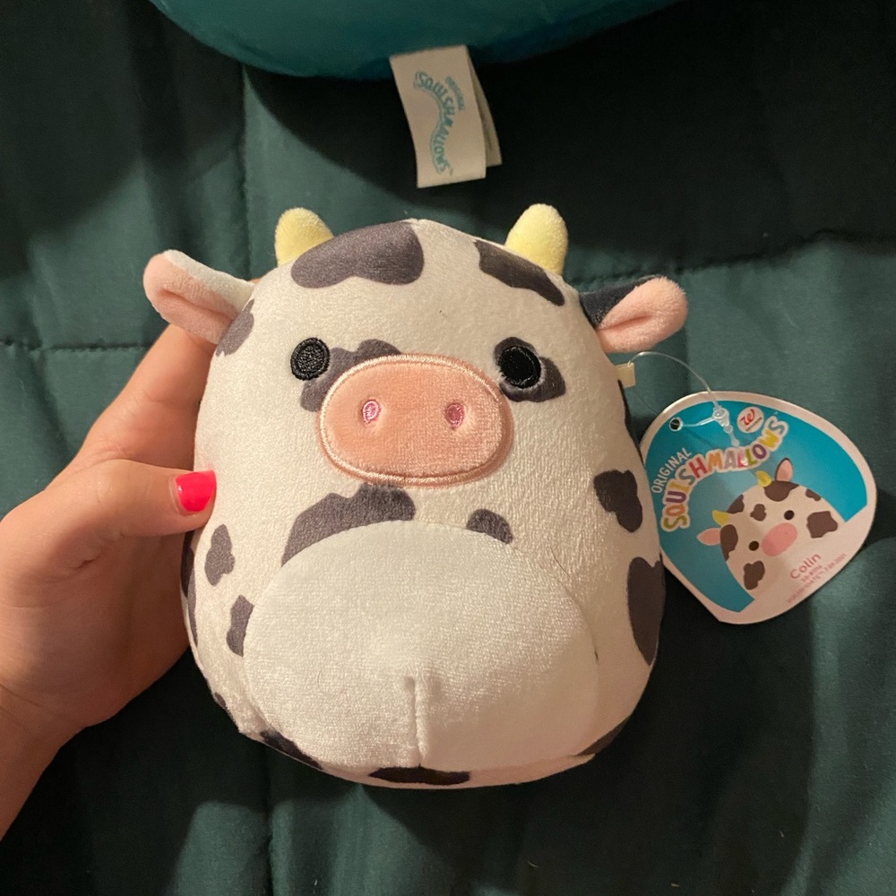 collin the cow